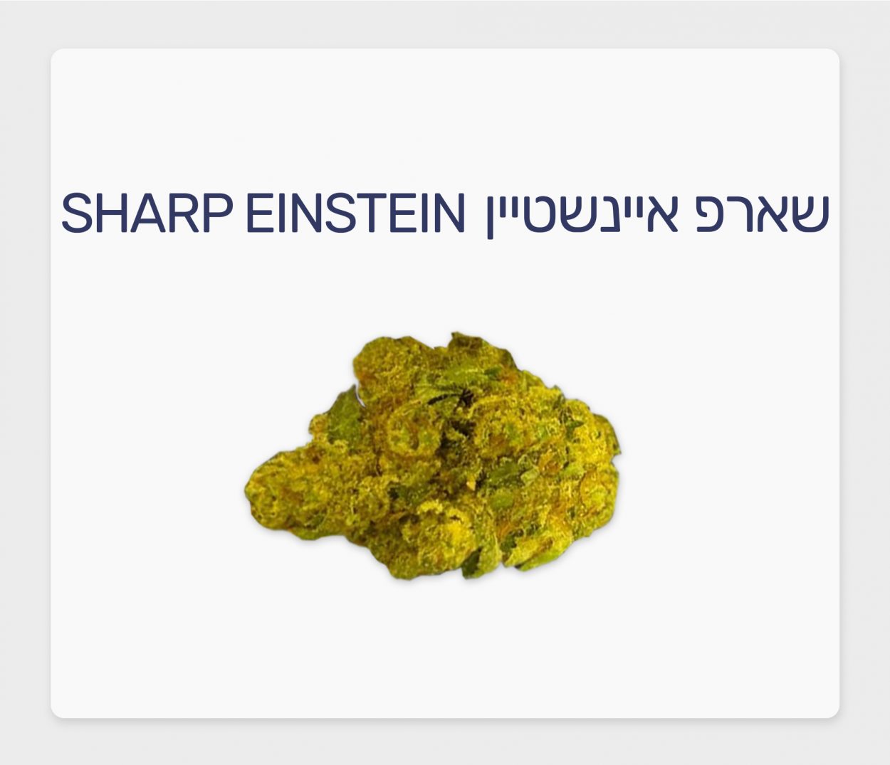 סקירת זן – שארפ איינשטיין T20/C4 אינדיקה