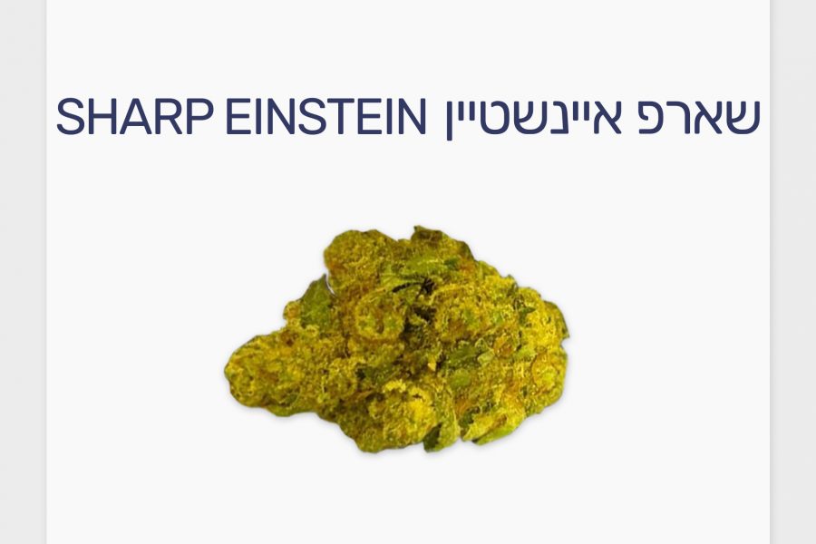 סקירת זן – שארפ איינשטיין T20/C4 אינדיקה