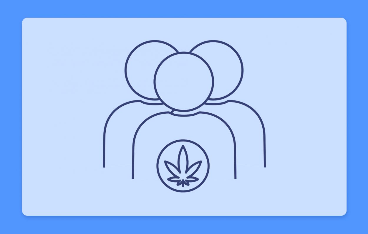 שרשרת האספקה של הקנאביס הרפואי