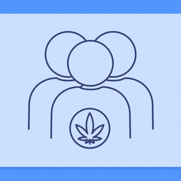 שרשרת האספקה של הקנאביס הרפואי