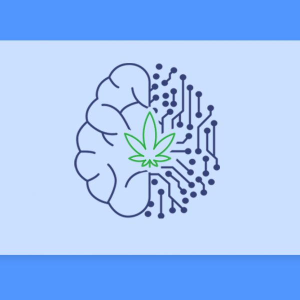 תסמונת טורט וקנאביס רפואי