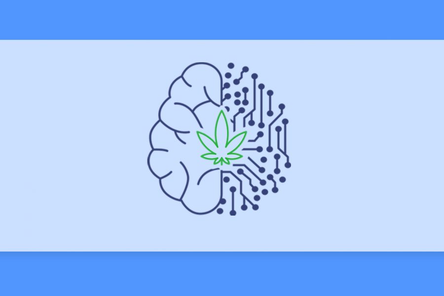 תסמונת טורט וקנאביס רפואי