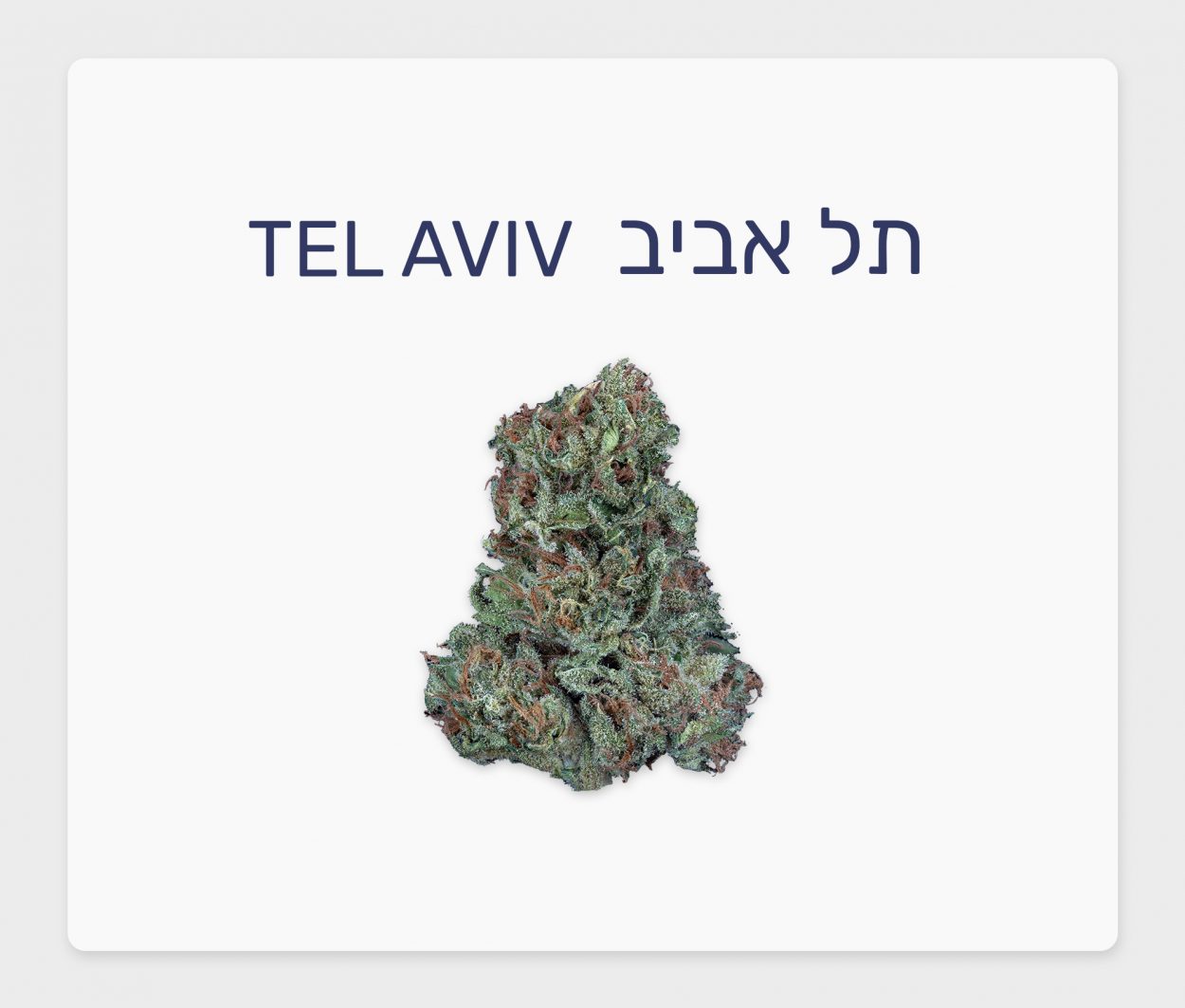 סקירת זן – תל אביב T20/C4 סאטיבה