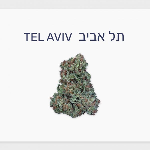 סקירת זן – תל אביב T20/C4 סאטיבה