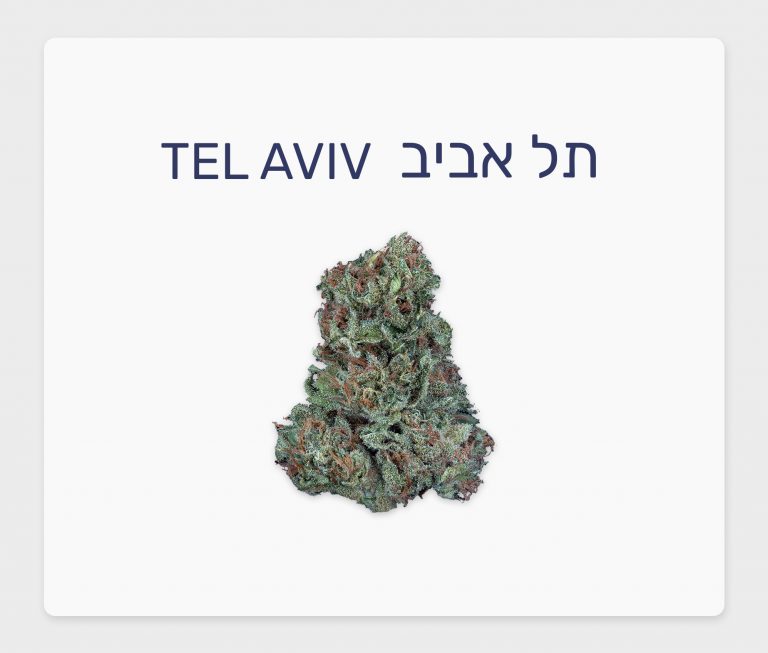 סקירת זן – תל אביב T20/C4 סאטיבה