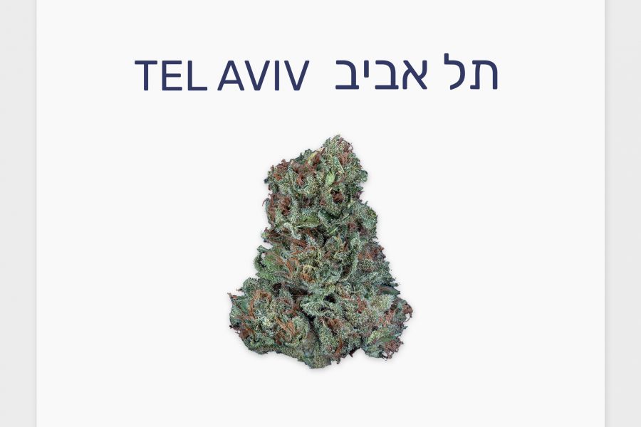 סקירת זן – תל אביב T20/C4 סאטיבה