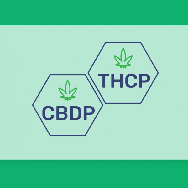 ืืืืจื ืืช ืืงื ืืื ืืืืืื ืืืืฉืื: THCP ื-CBDP