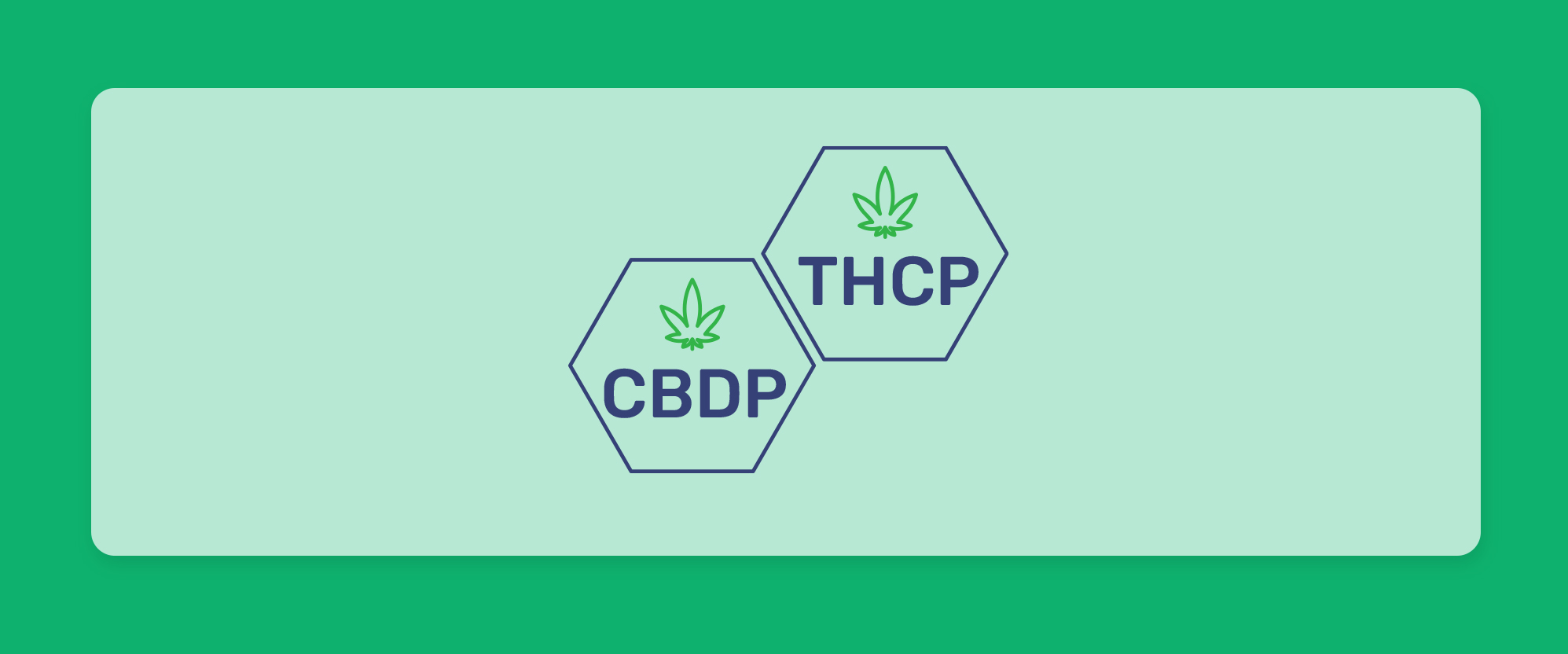 הכירו את הקנבינואידים החדשים: THCP ו-CBDP