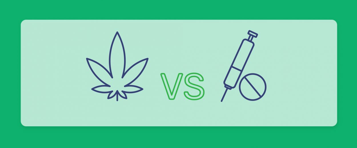 האם קנאביס רפואי יכול להוות אלטרנטיבה בטוחה לאופיואידים בהקלה על כאבים?