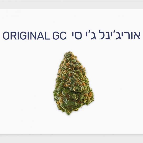 סקירת זן – אורג'ינל ג'י סי T20/C4 סאטיבה