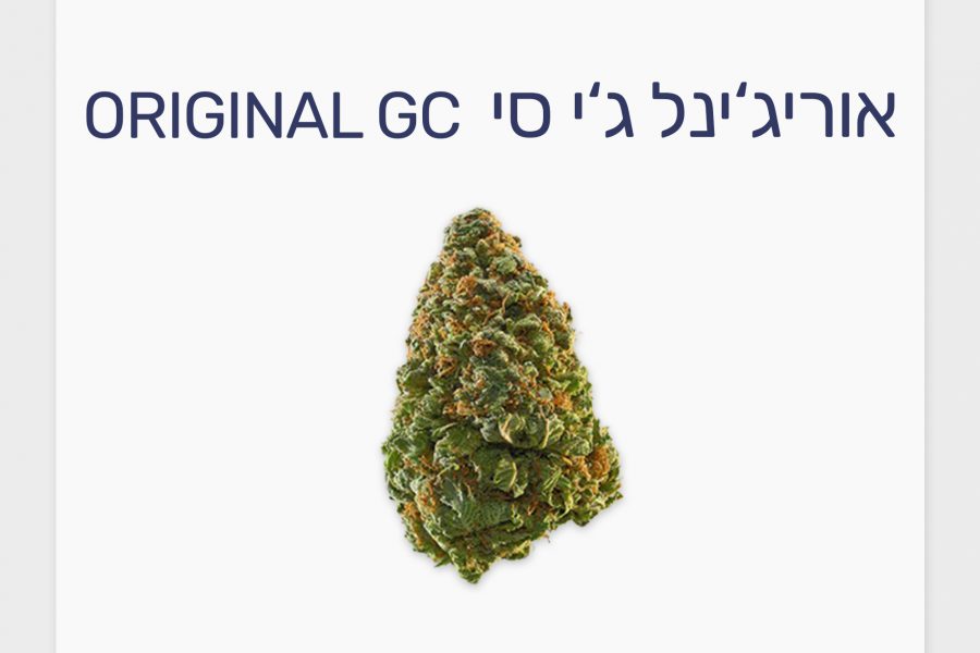 סקירת זן – אורג'ינל ג'י סי T20/C4 סאטיבה