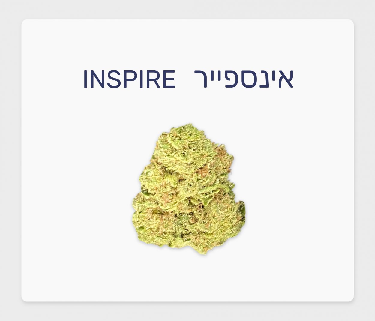 סקירת זן – אינספייר T20/C4 אינדיקה