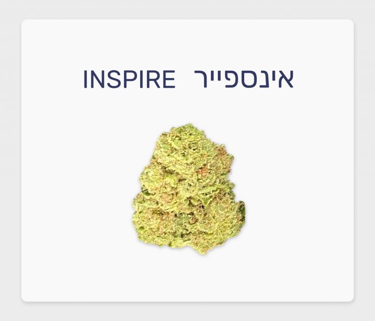 סקירת זן – אינספייר T20/C4 אינדיקה