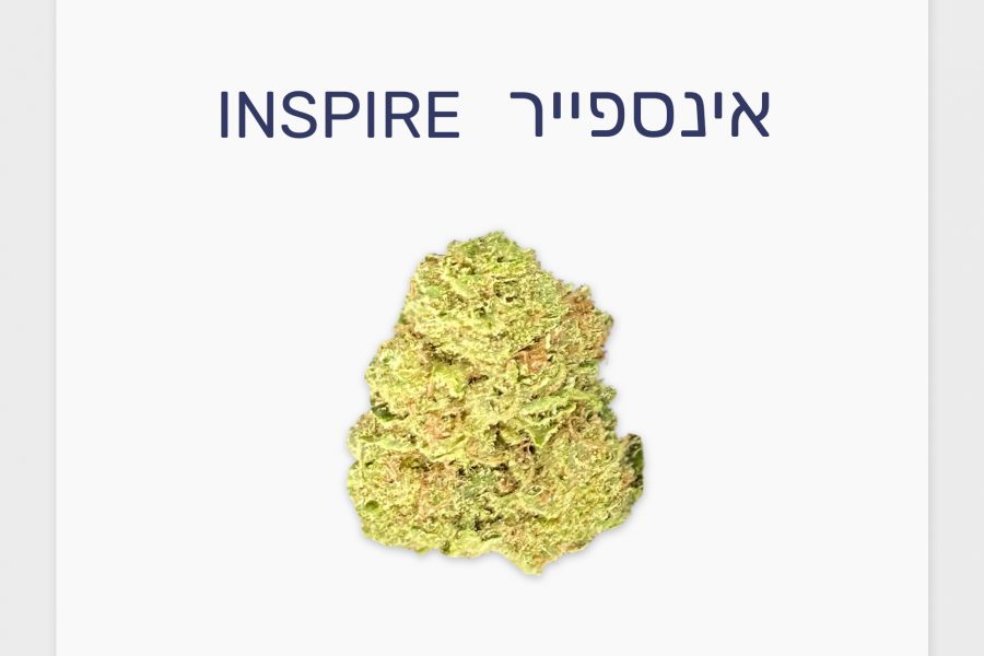 סקירת זן – אינספייר T20/C4 אינדיקה