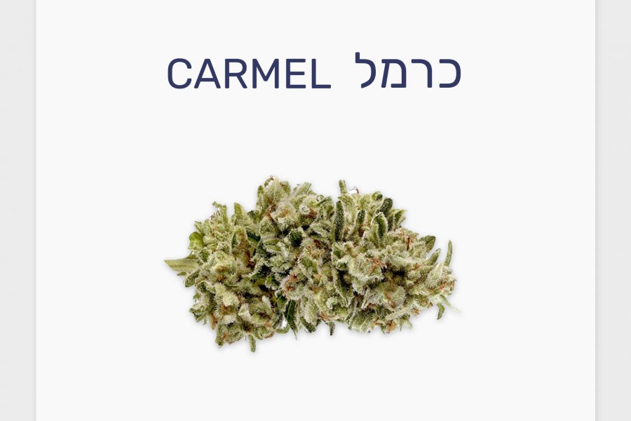 סקירת זן – כרמל T20/C4 סאטיבה