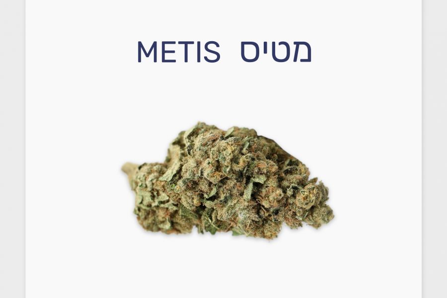 סקירת זן – מטיס T20/C4 סאטיבה