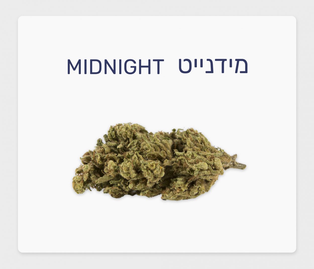 סקירת זן – מידנייט T10/C10 סאטיבה