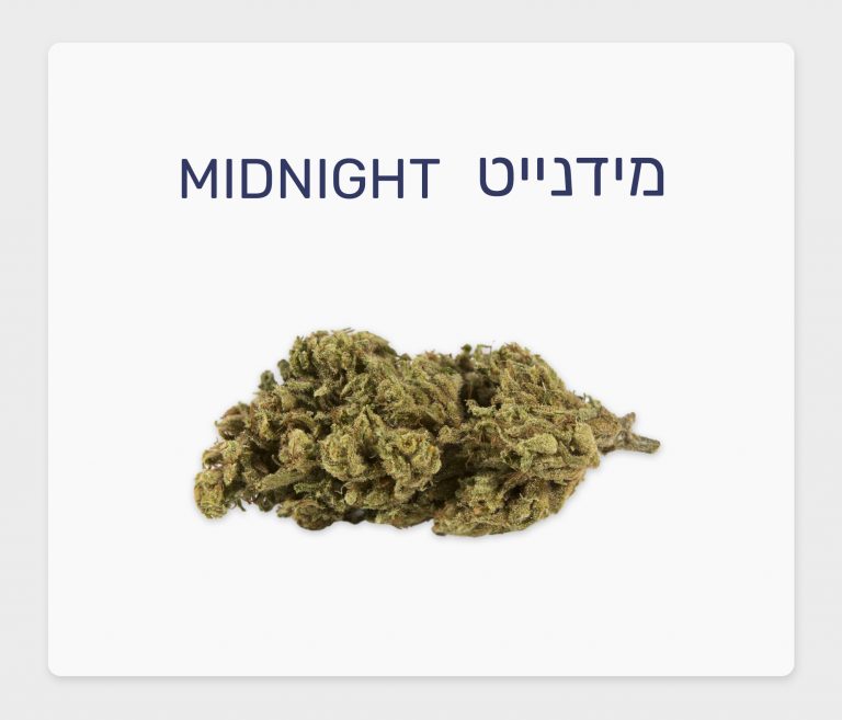 סקירת זן – מידנייט T10/C10 סאטיבה