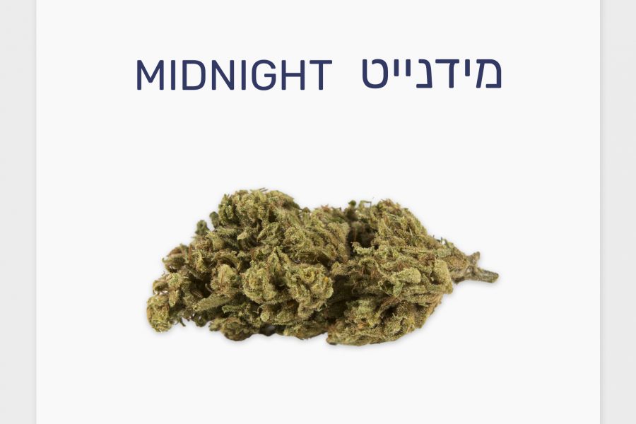 סקירת זן – מידנייט T10/C10 סאטיבה