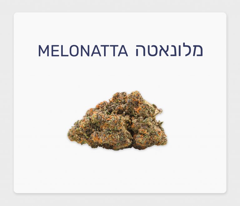 סקירת זן – מלונאטה T20/C4 סאטיבה