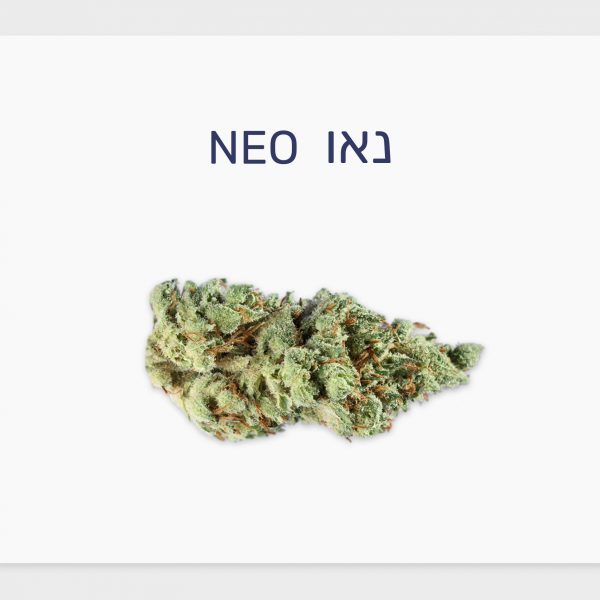 סקירת זן – נאו T15/C3 סאטיבה