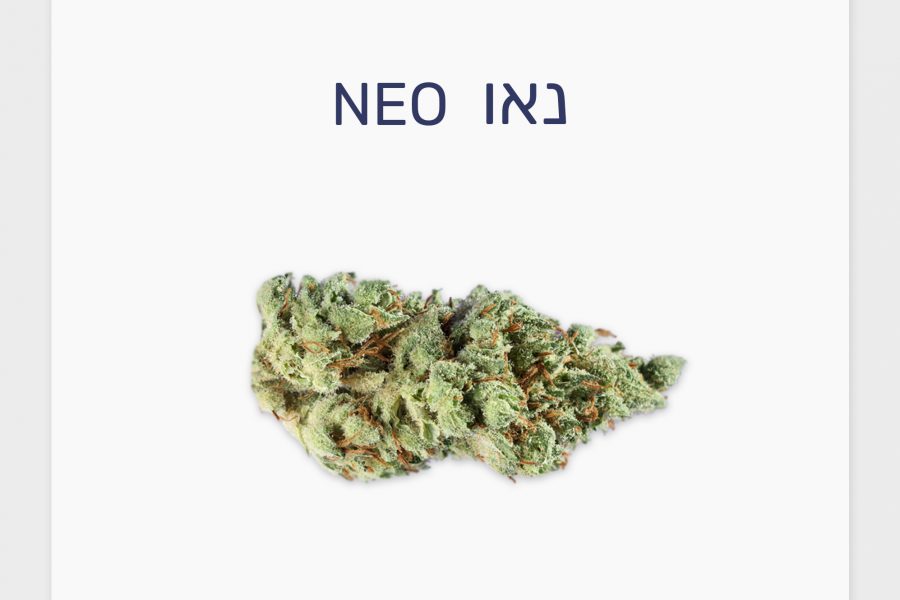 סקירת זן – נאו T15/C3 סאטיבה