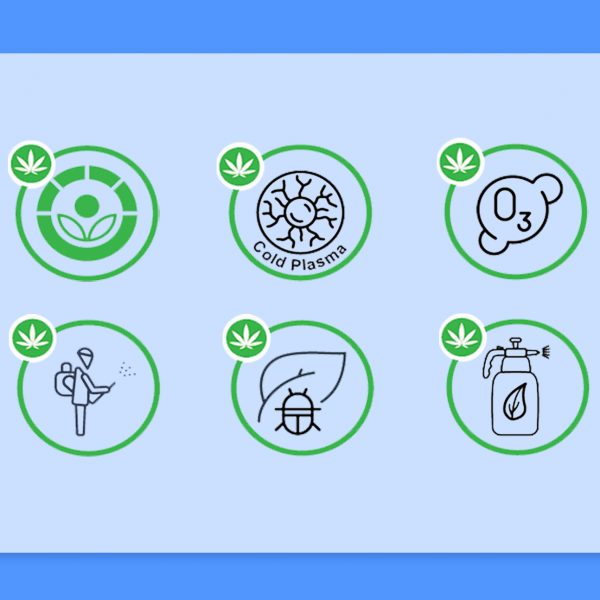 סימונים חדשים על אריזות הקנאביס הרפואי