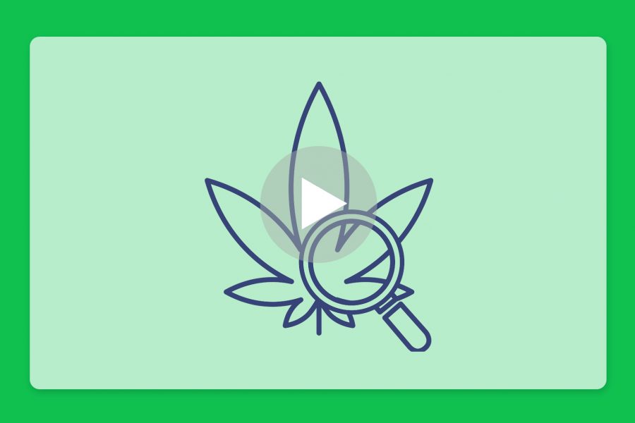 סרטון פתיחת שקית - פנדורה בוקס