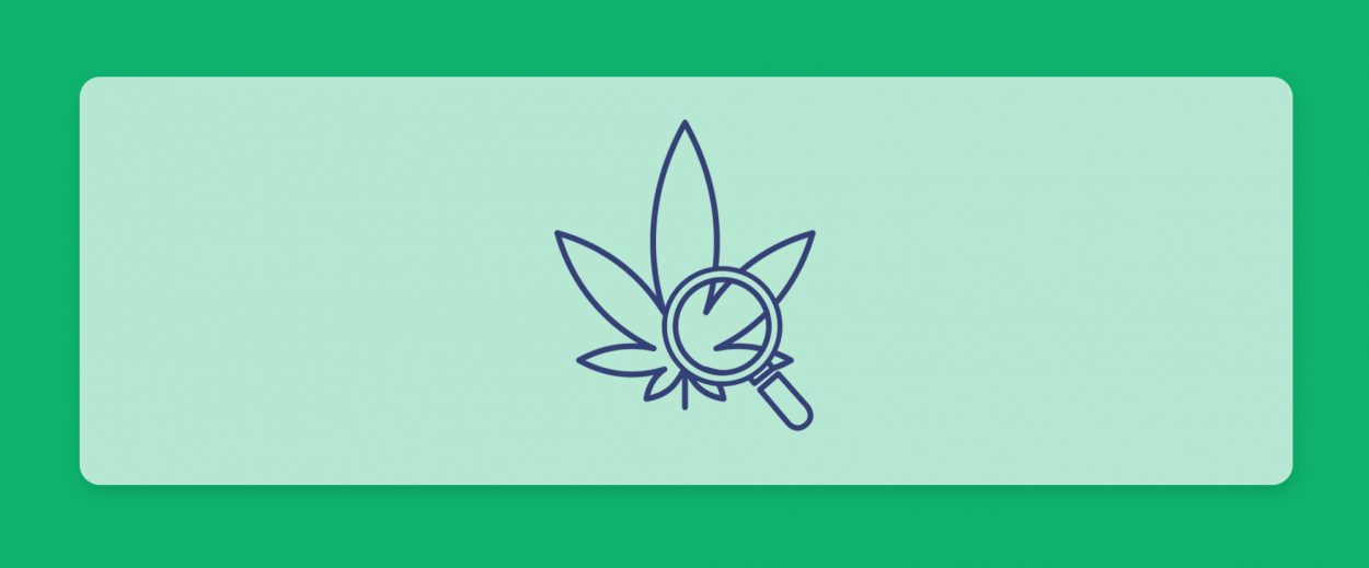 עדכון זנים מהשבוע האחרון_10.6