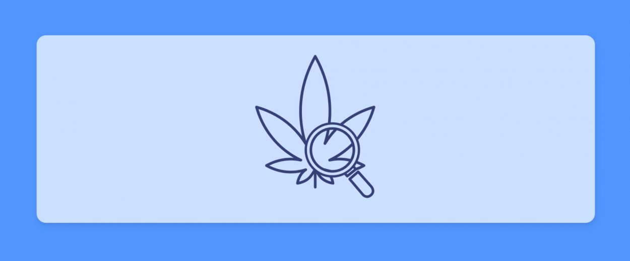 עדכון זנים מהשבוע האחרון_17.6