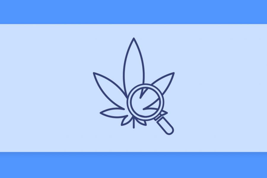 עדכון זנים מהשבוע האחרון_17.6