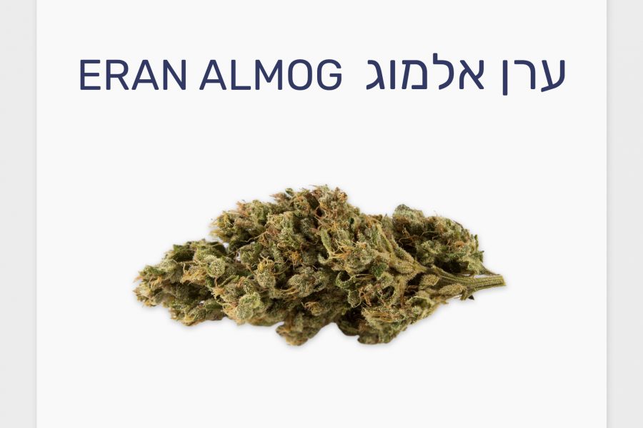 סקירת זן – ערן אלמוג T20/C4 אינדיקה