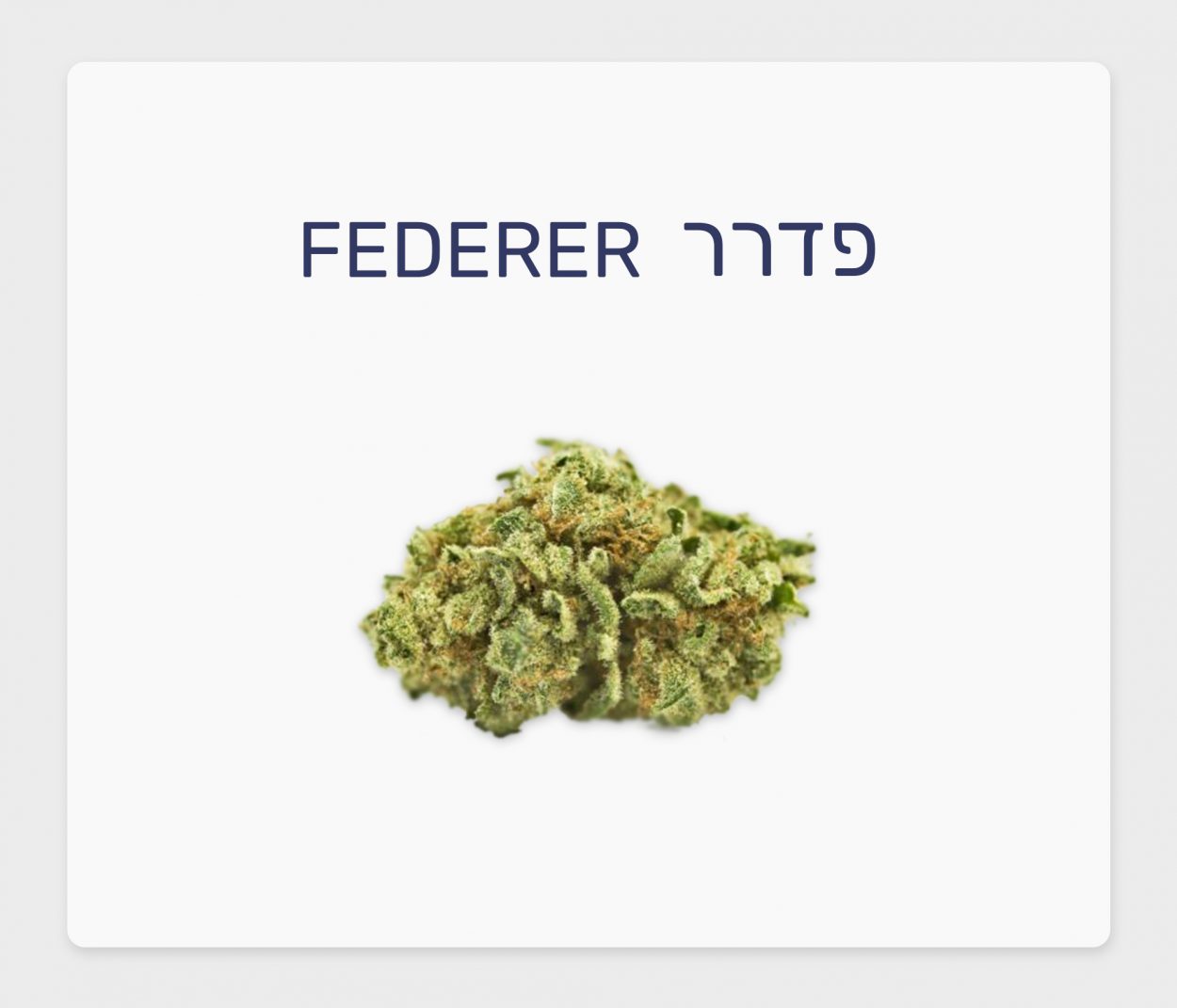 סקירת זן – פדרר T15/C3 סאטיבה