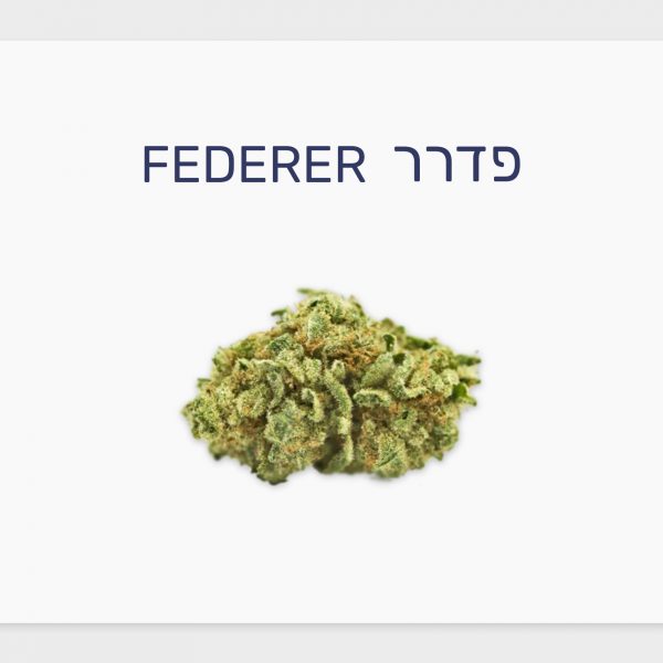 סקירת זן – פדרר T15/C3 סאטיבה