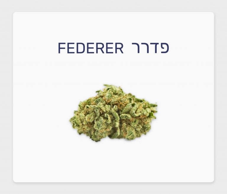 סקירת זן – פדרר T15/C3 סאטיבה