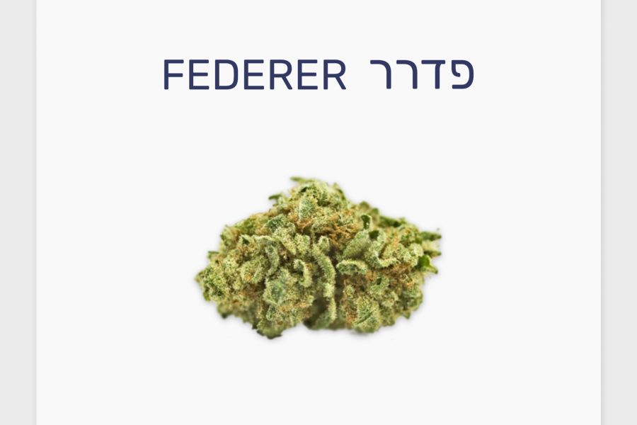 סקירת זן – פדרר T15/C3 סאטיבה