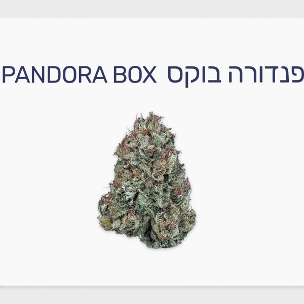 סקירת זן – פנדורה בוקס T15/C3 סאטיבה