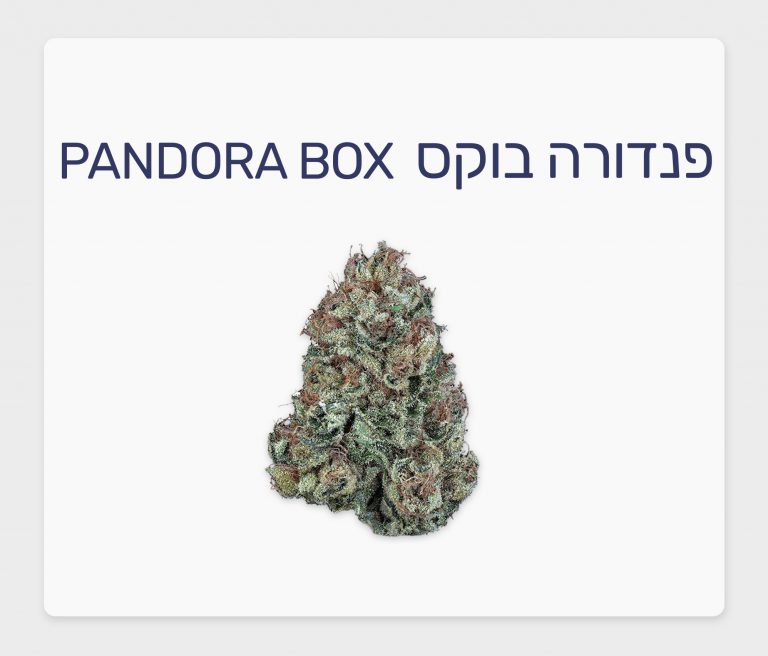 סקירת זן – פנדורה בוקס T15/C3 סאטיבה