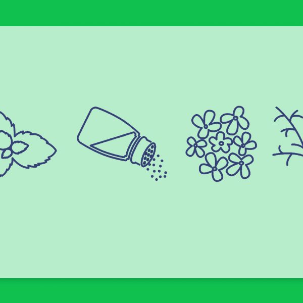 קנבינואידים ללא קנאביס