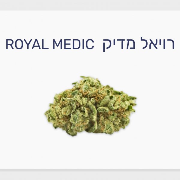 סקירת זן – רויאל מדיק T10/C10 היברידי