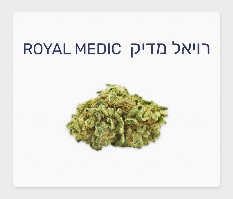 סקירת זן – רויאל מדיק T10/C10 היברידי