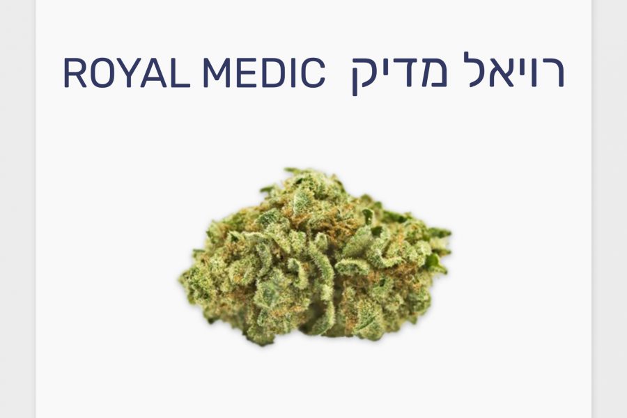 סקירת זן – רויאל מדיק T10/C10 היברידי