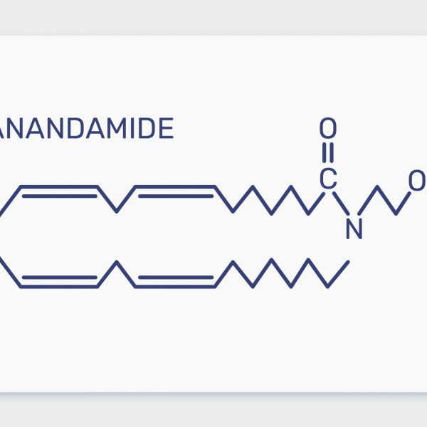 אננדמיד ופוסט טראומה