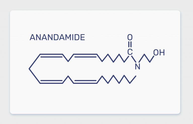 אננדמיד ופוסט טראומה
