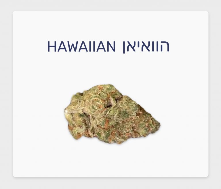 סקירת זן – הוואיאן T20/C4 סאטיבה