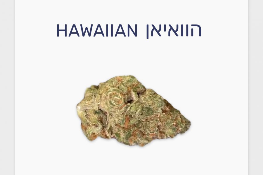 סקירת זן – הוואיאן T20/C4 סאטיבה