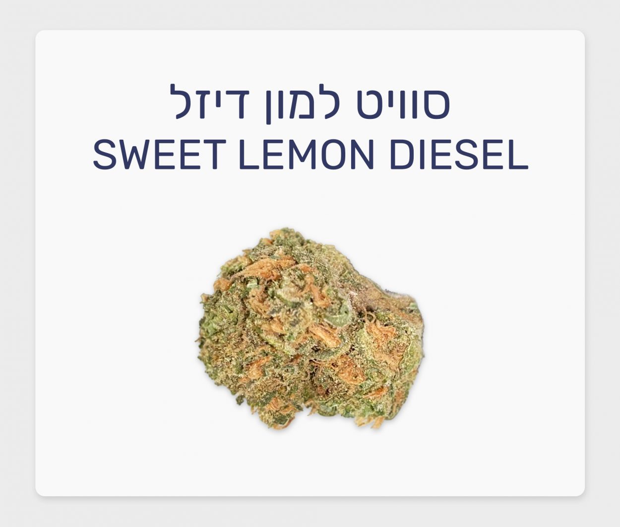 סקירת זן – סוויט למון דיזל T20/C4 סאטיבה