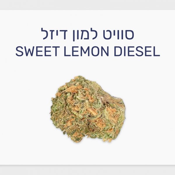 סקירת זן – סוויט למון דיזל T20/C4 סאטיבה