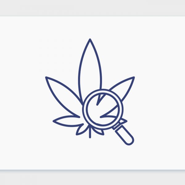 סיכום החודש שהיה יוני 21