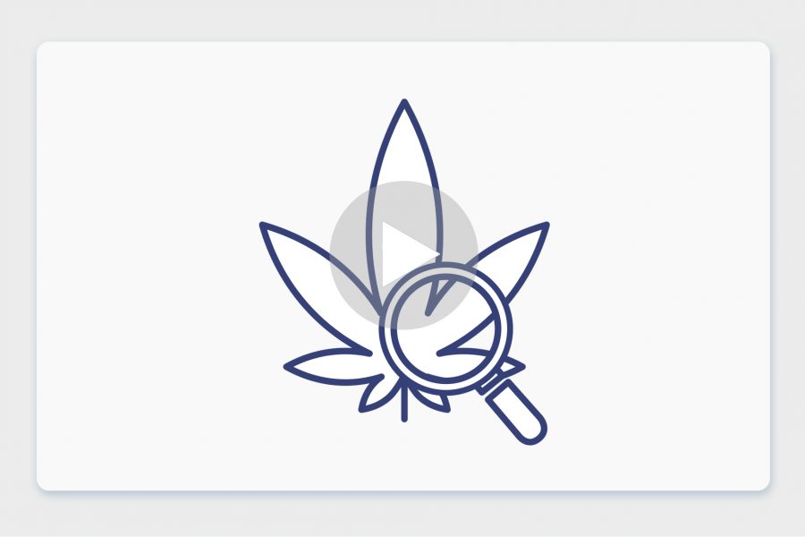 סרטון פתיחת שקית - סוויט למון דיזל